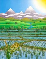 Japan Rice Paddy Field, 1997